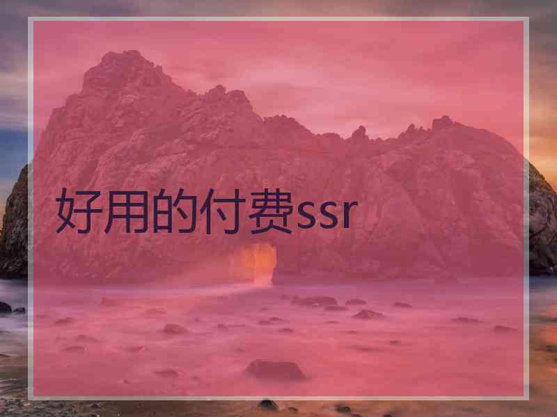 好用的付费ssr