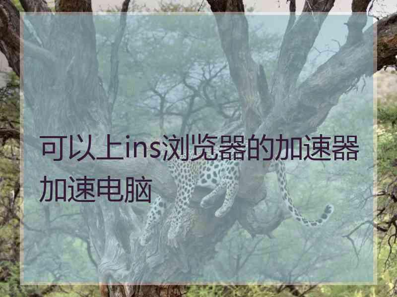 可以上ins浏览器的加速器加速电脑