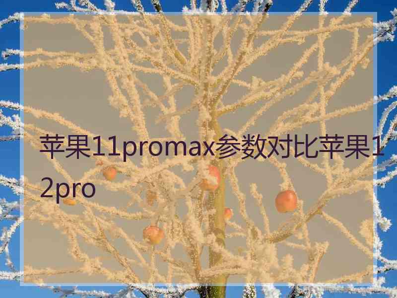 苹果11promax参数对比苹果12pro