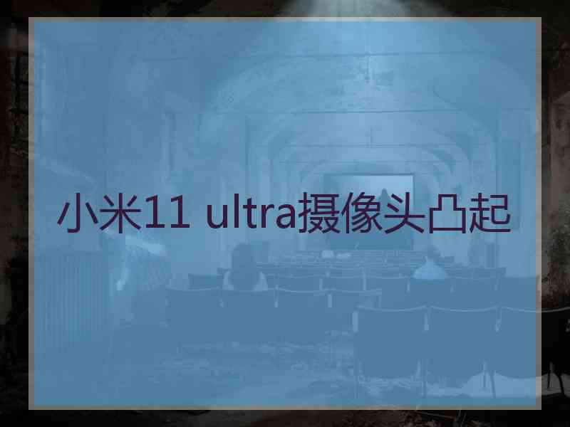 小米11 ultra摄像头凸起