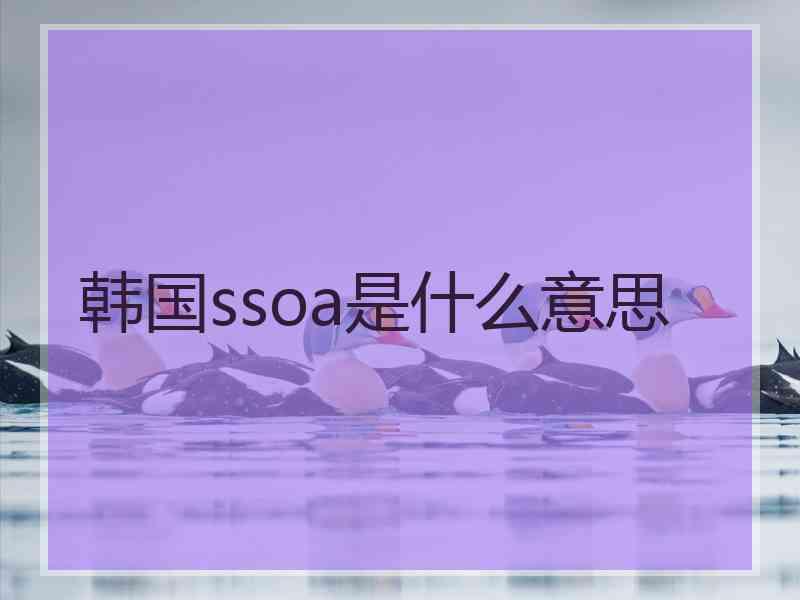 韩国ssoa是什么意思