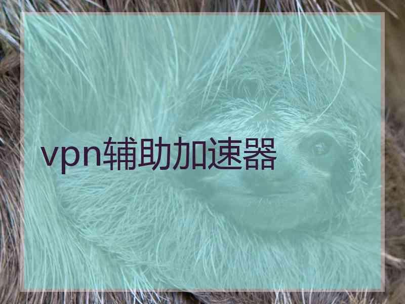 vpn辅助加速器