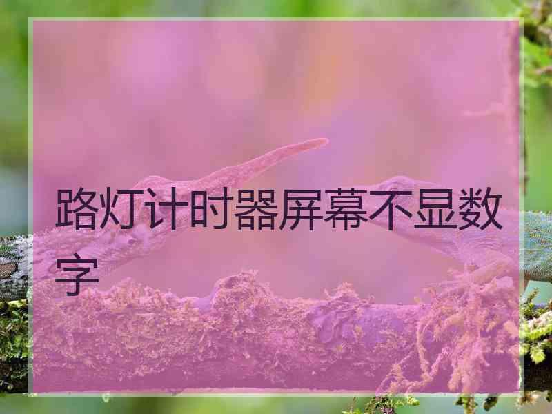 路灯计时器屏幕不显数字