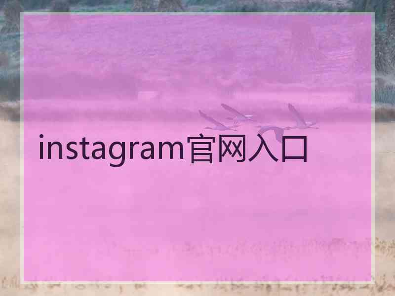 instagram官网入口