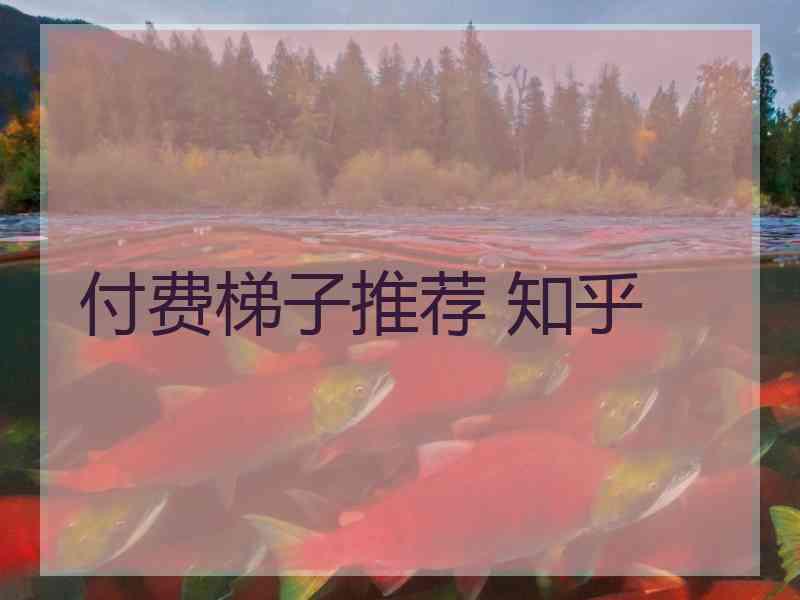 付费梯子推荐 知乎