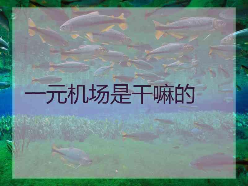 一元机场是干嘛的