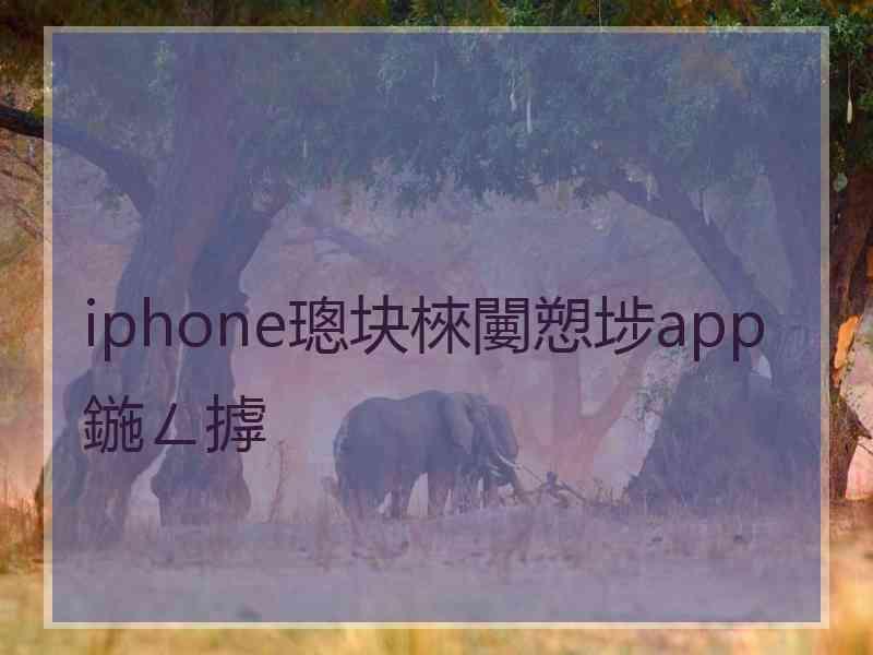 iphone璁块棶闄愬埗app鍦ㄥ摢