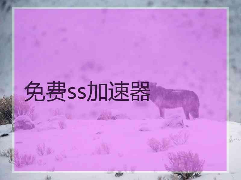 免费ss加速器