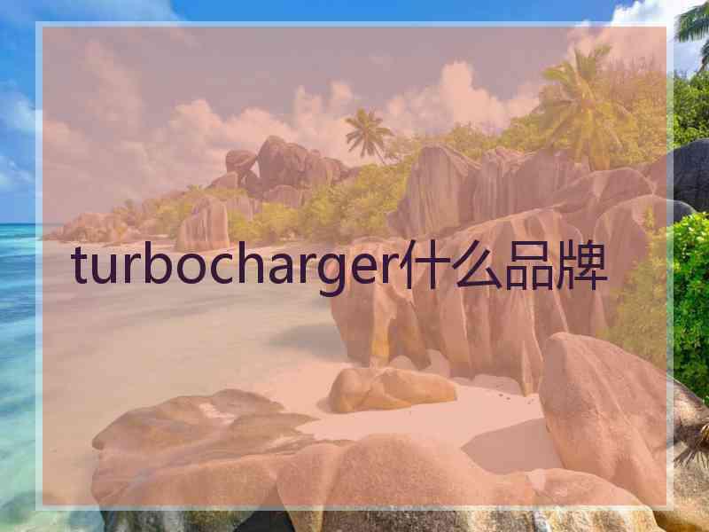 turbocharger什么品牌