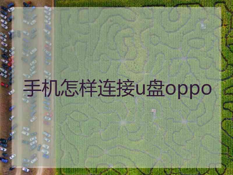 手机怎样连接u盘oppo