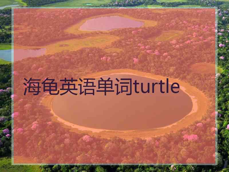 海龟英语单词turtle