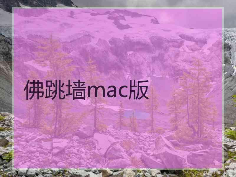 佛跳墙mac版