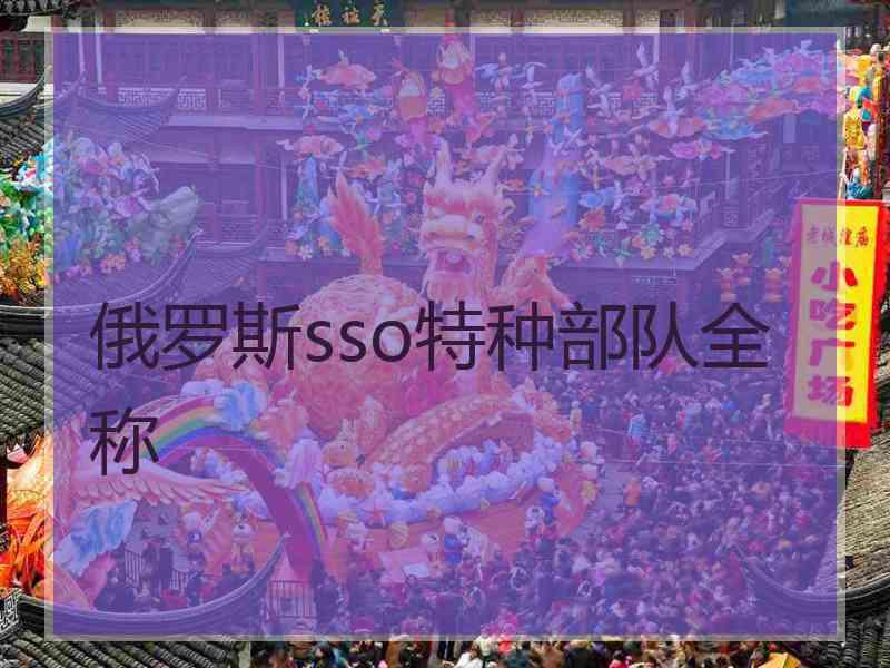 俄罗斯sso特种部队全称