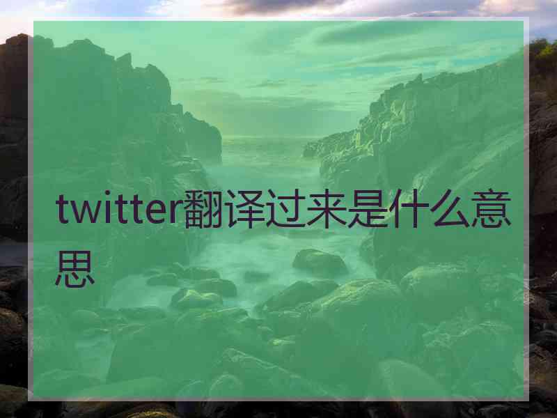 twitter翻译过来是什么意思