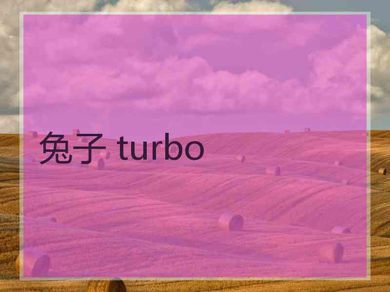 兔子 turbo