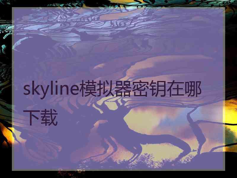 skyline模拟器密钥在哪下载