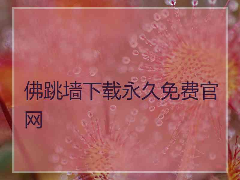 佛跳墙下载永久免费官网