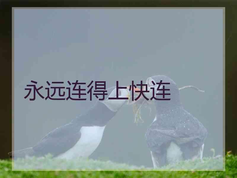 永远连得上快连