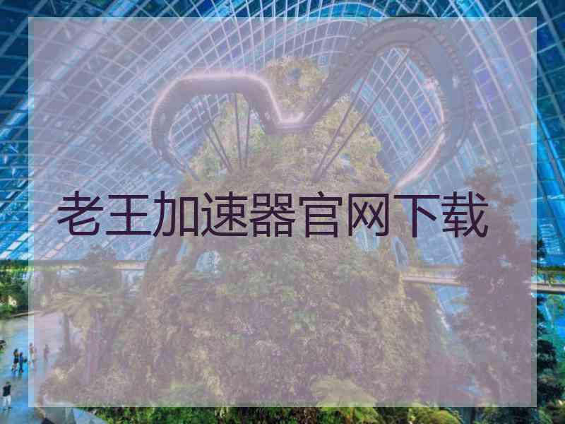 老王加速器官网下载