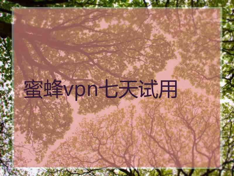 蜜蜂vpn七天试用