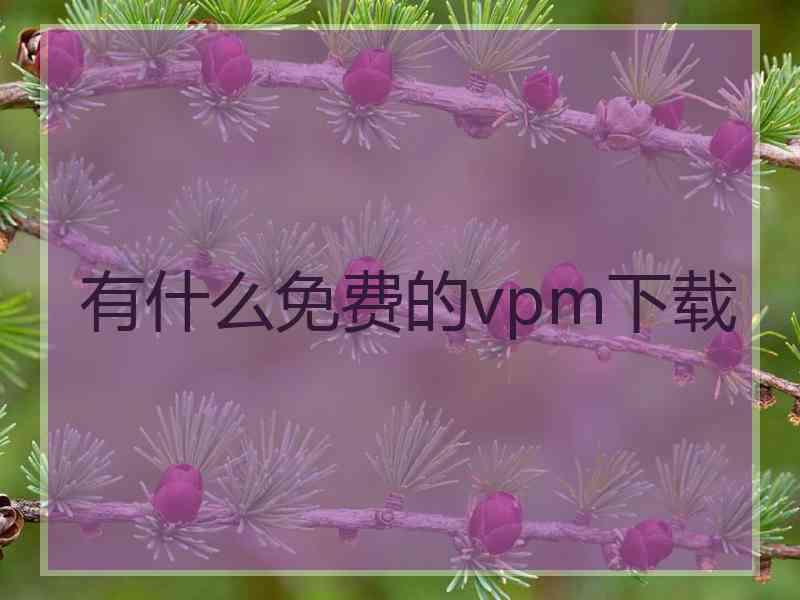 有什么免费的vpm下载