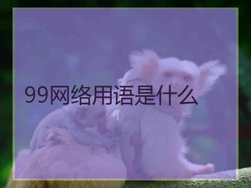 99网络用语是什么