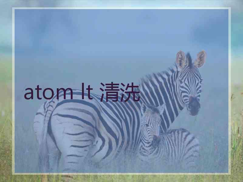 atom lt 清洗