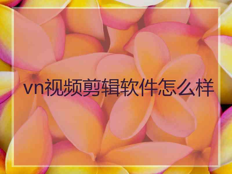 vn视频剪辑软件怎么样