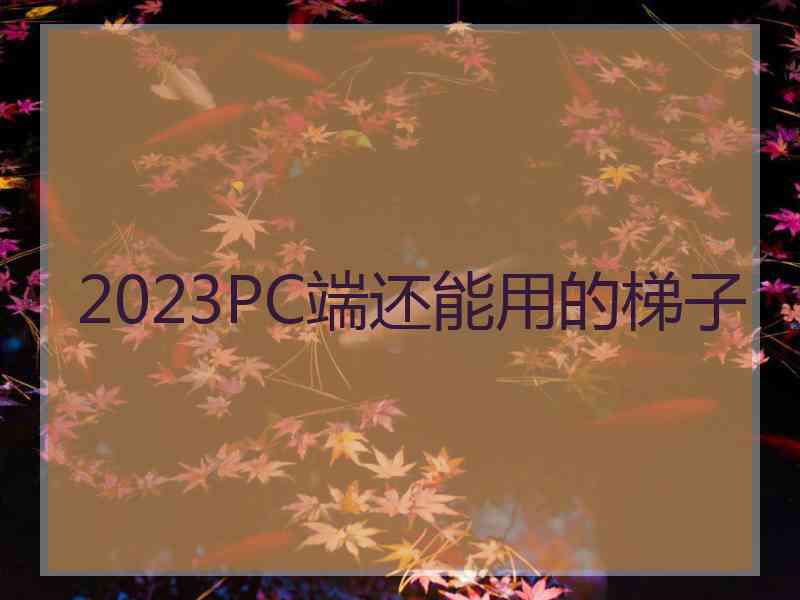 2023PC端还能用的梯子