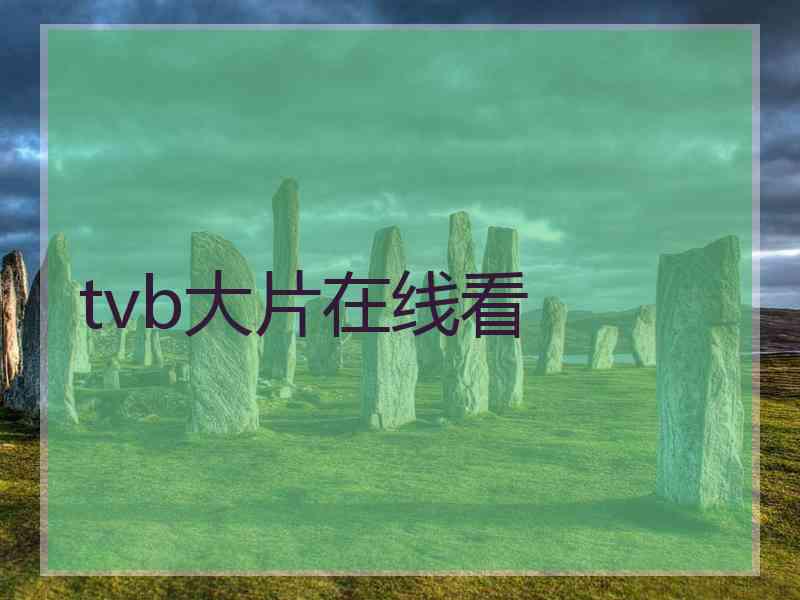 tvb大片在线看