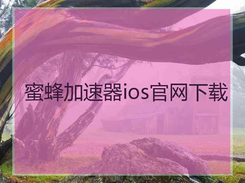 蜜蜂加速器ios官网下载