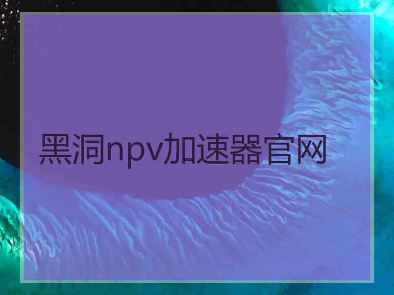 黑洞npv加速器官网