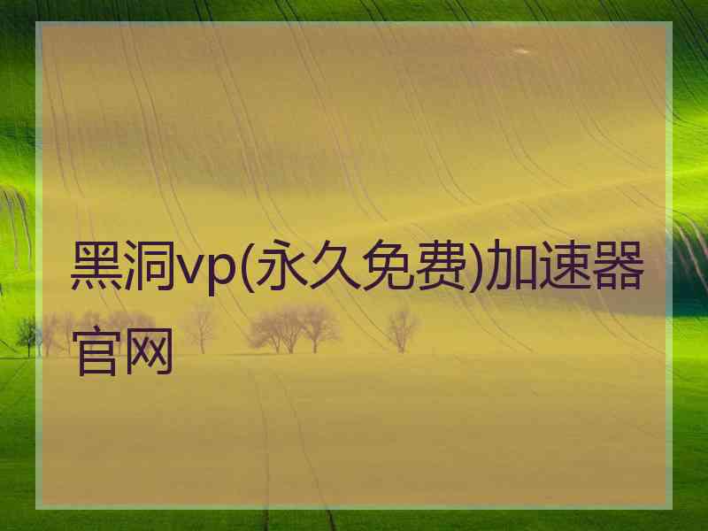 黑洞vp(永久免费)加速器官网