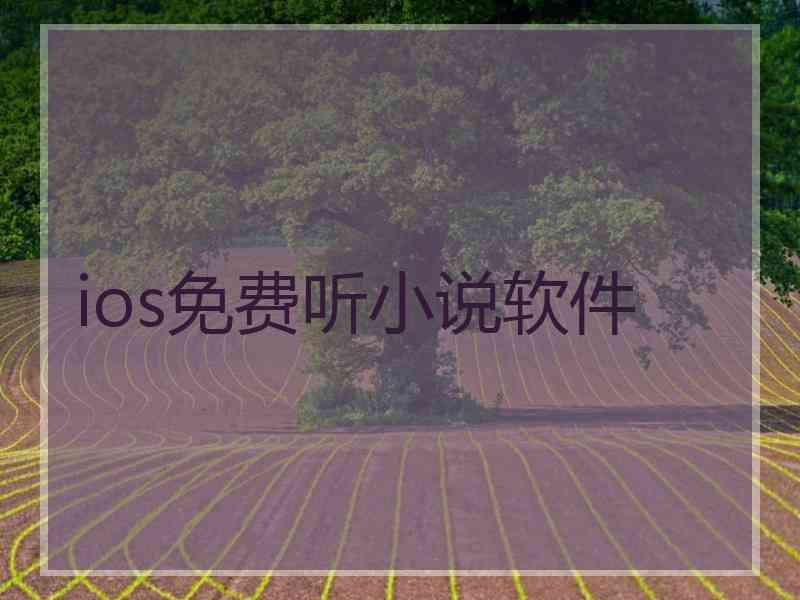 ios免费听小说软件