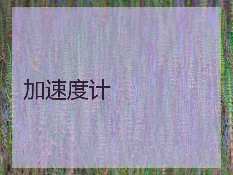 加速度计