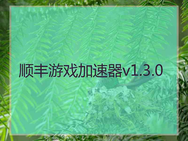 顺丰游戏加速器v1.3.0