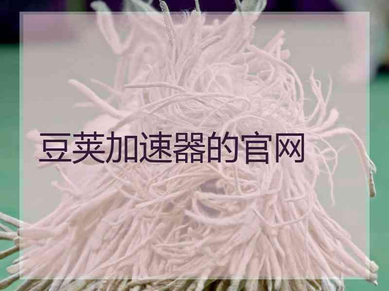 豆荚加速器的官网