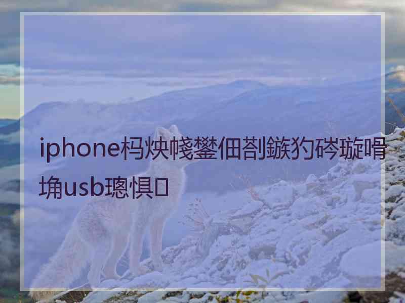 iphone杩炴帴鐢佃剳鏃犳硶璇嗗埆usb璁惧