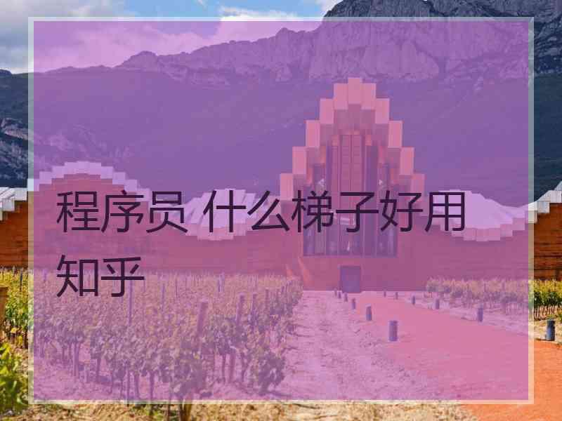 程序员 什么梯子好用 知乎