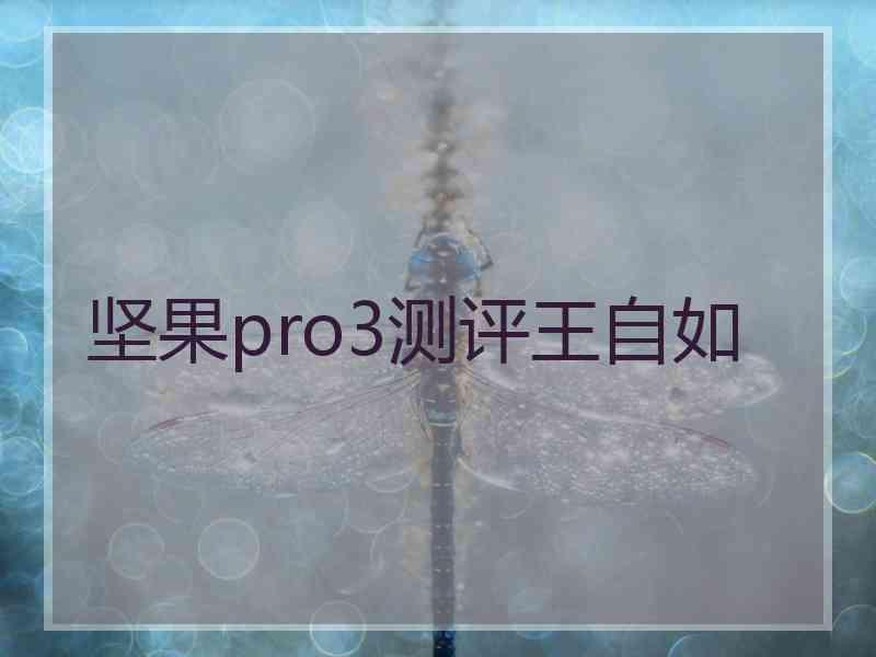 坚果pro3测评王自如