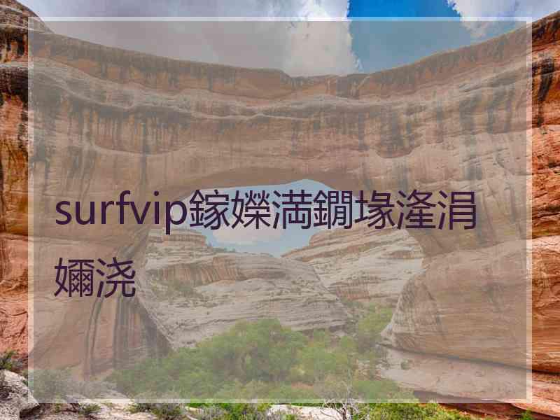 surfvip鎵嬫満鐗堟湰涓嬭浇