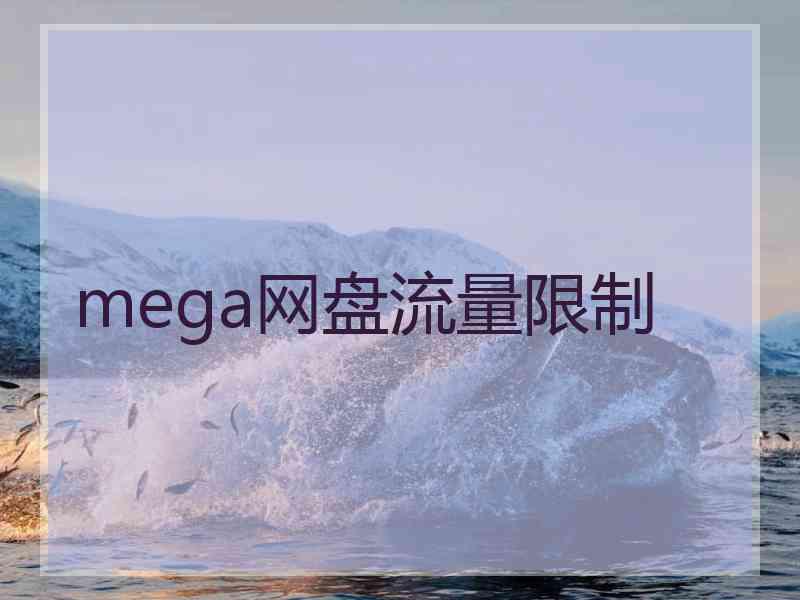 mega网盘流量限制