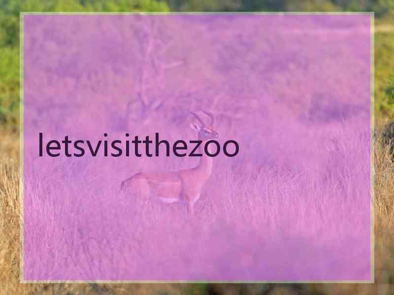 letsvisitthezoo