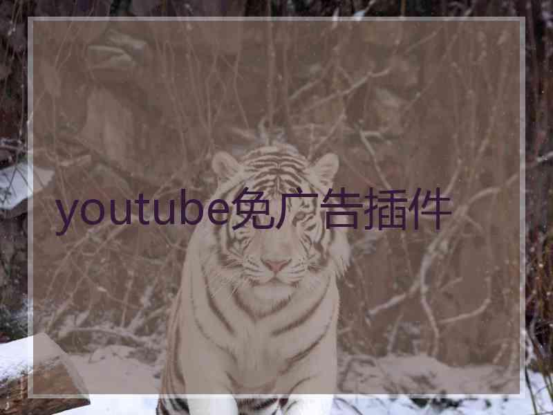 youtube免广告插件