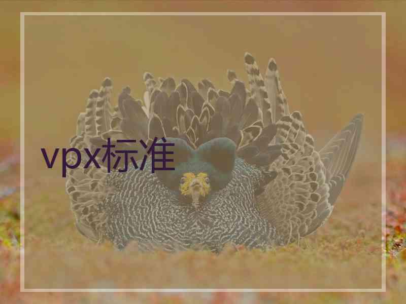 vpx标准