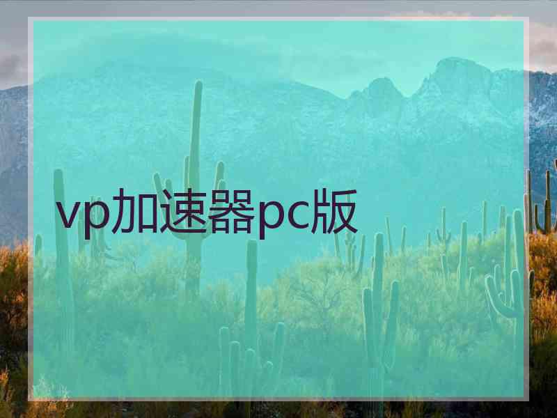 vp加速器pc版