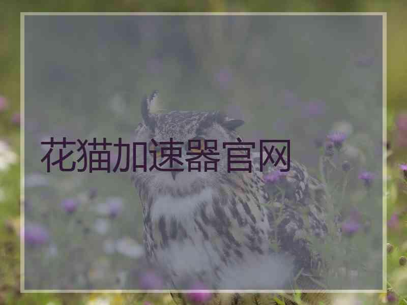 花猫加速器官网