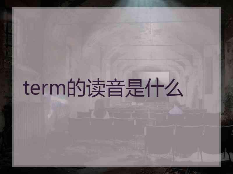 term的读音是什么