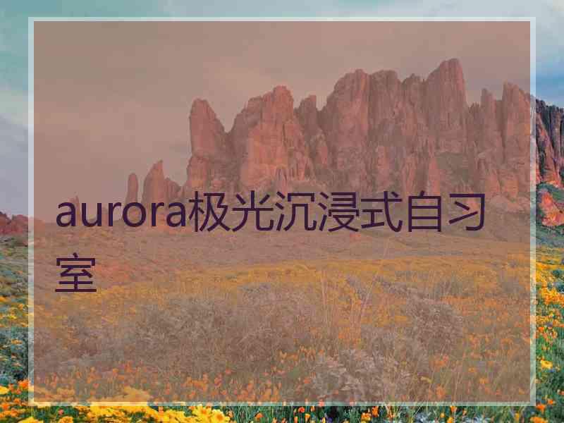 aurora极光沉浸式自习室