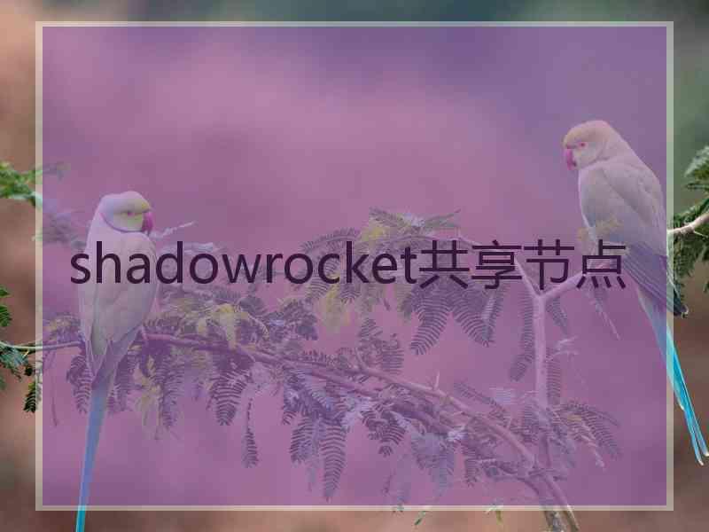 shadowrocket共享节点